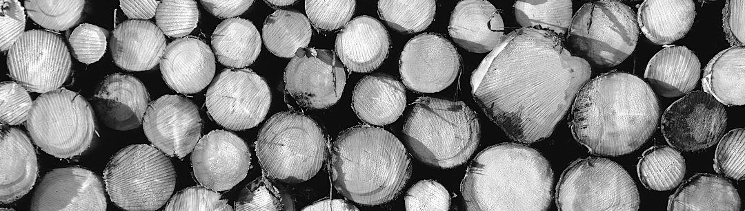 All types of wood packaging | ADLERPACK